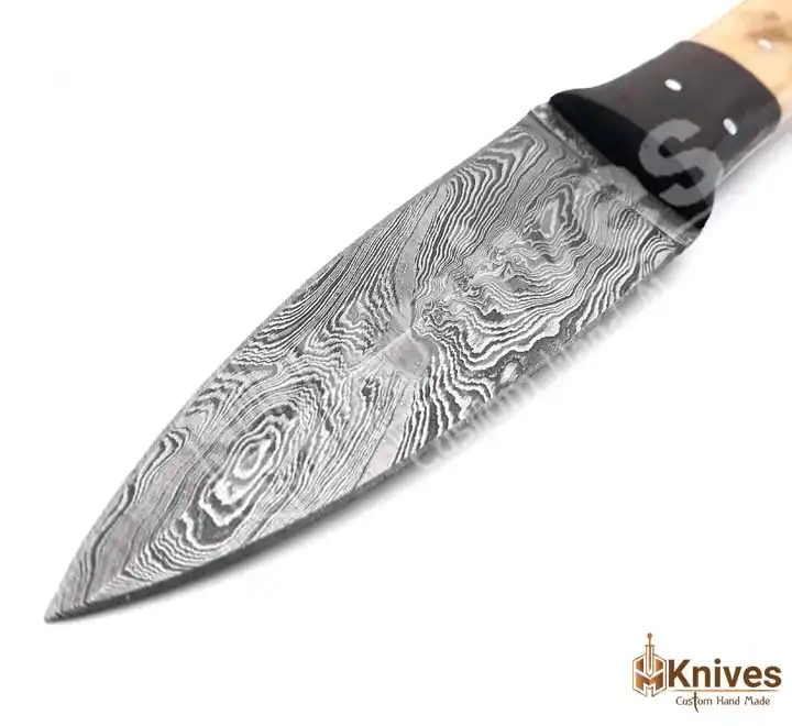 Damascus Skinner Hand Made Dagger Knife 8 inch with Bone Handle & Color Sheet by HMKnives (1)