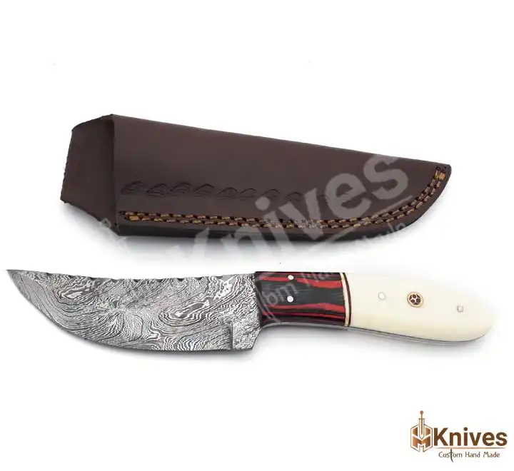 Damascus Skinner Hand Made Knife 8 inch with Bone & Color Sheet Handle by HMKnives (1)