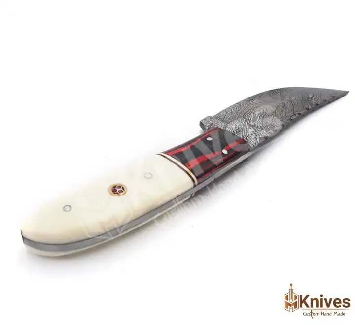 Damascus Skinner Hand Made Knife 8 inch with Bone & Color Sheet Handle by HMKnives (2)