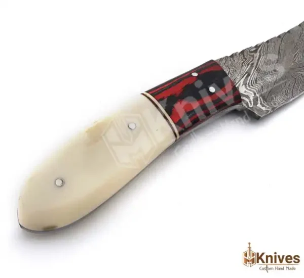 Damascus Skinner Hand Made Knife 8 inch with Bone & Color Sheet Handle by HMKnives (3)