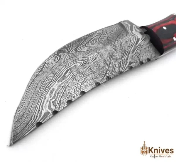 Damascus Skinner Hand Made Knife 8 inch with Bone & Color Sheet Handle by HMKnives (4)