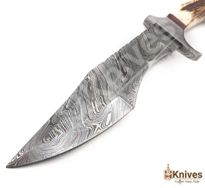Damascus Steel Hand Made Hunter Knife with Stag Crown Handle & Fancy Hand Engraved Leather Sheath by HMKnives (2)