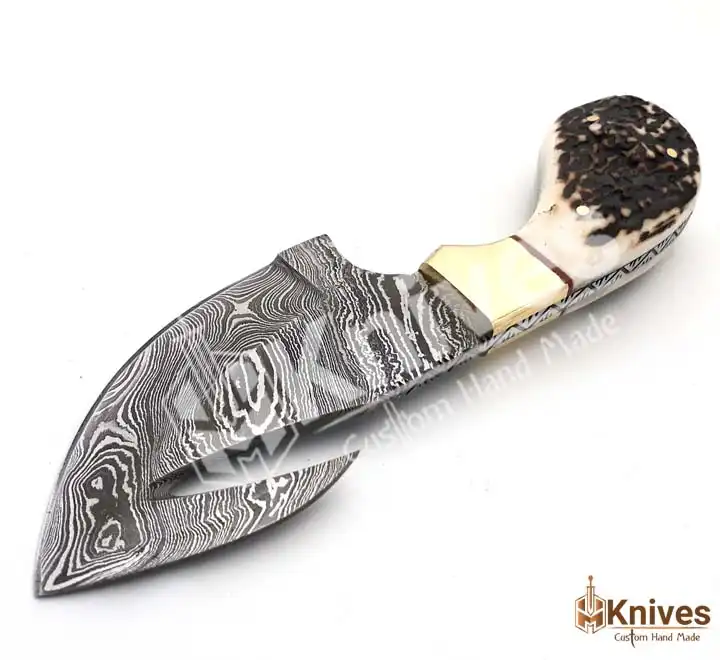 Damascus Steel Sharp Gut Hook Skinner Knife with Stag Handle & Brass Bolster Leather Engraving Sheath by HMKnives (3)