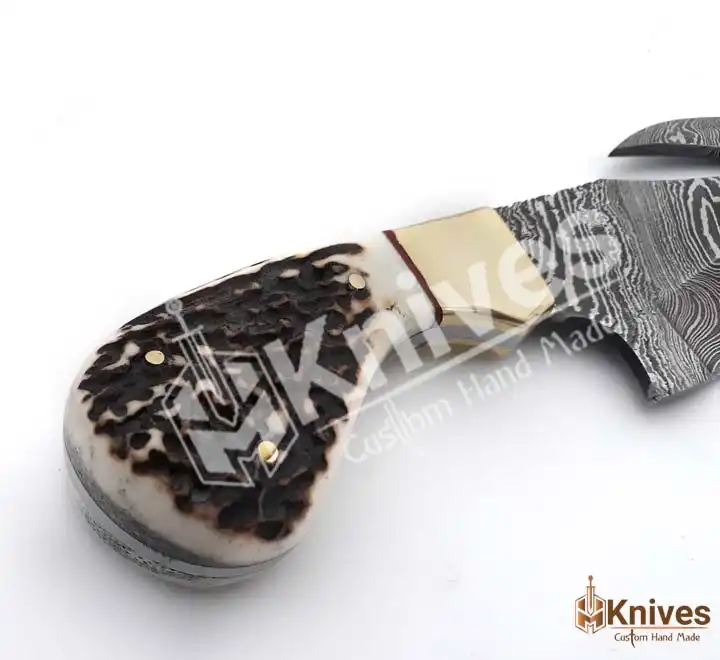 Damascus Steel Sharp Gut Hook Skinner Knife with Stag Handle & Brass Bolster Leather Engraving Sheath by HMKnives (4)