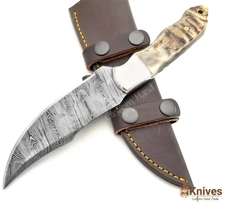Damascus Skinner Knife with Sheep Horn handle-1