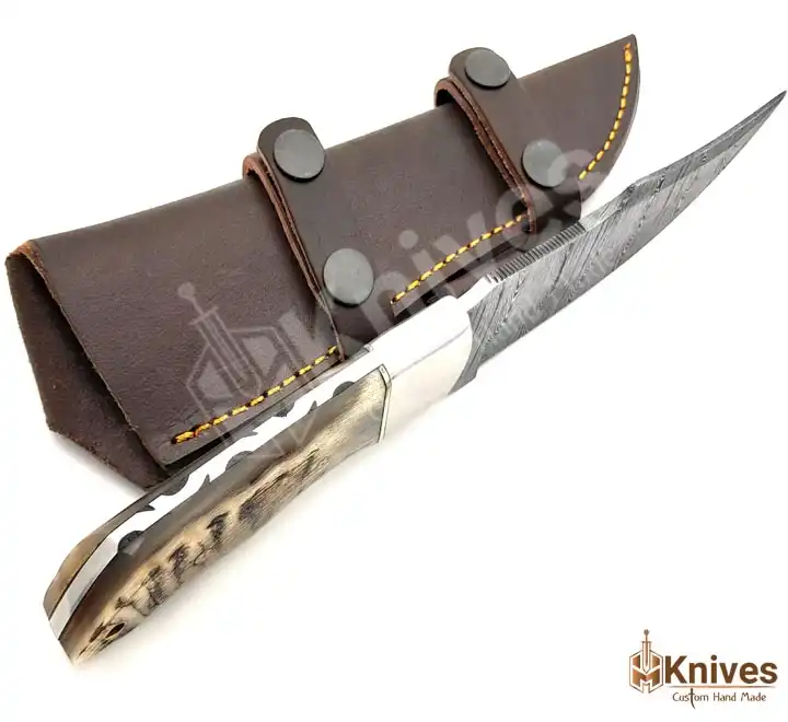 Damascus Skinner Knife with Sheep Horn handle-2
