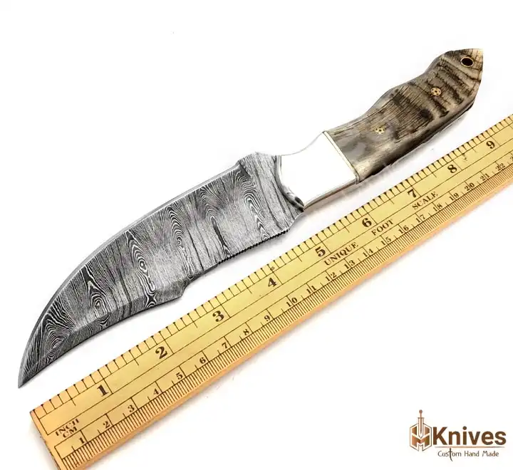 Damascus Skinner Knife with Sheep Horn handle-4