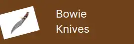 bowie knife category