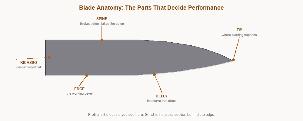 Labelled knife blade anatomy diagram showing spine, tip, belly, edge and ricasso on a drop point blade