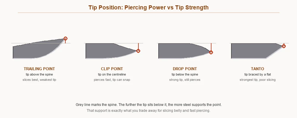 Diagram comparing where the tip sits relative to the spine on trailing point, clip point, drop point and tanto blades