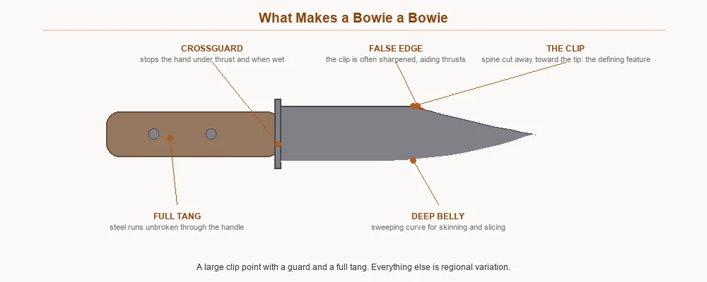 Labelled bowie knife showing the clip, false edge, crossguard, full tang and deep belly