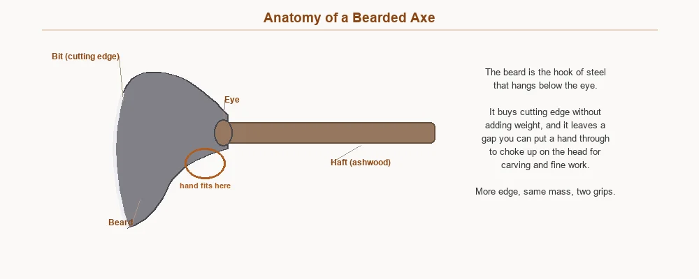 Labelled bearded axe showing bit, beard, eye, ashwood haft and the hand gap the beard creates