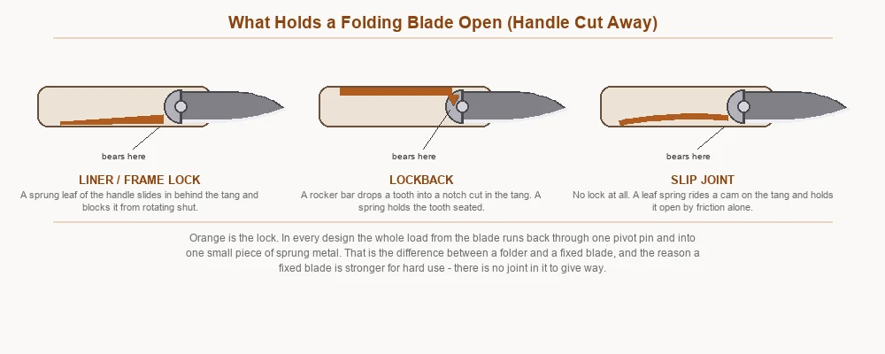 Cutaway of liner lock, lockback and slip joint showing where each bears on the blade tang