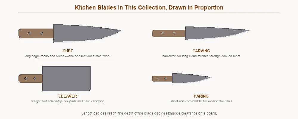 Chef, carving, cleaver and paring blades drawn in proportion to each other