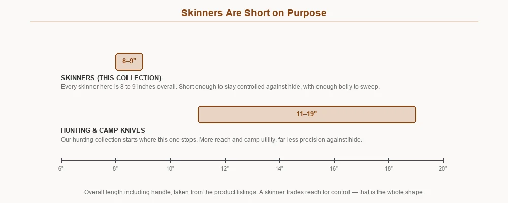 Skinner knives at 8 to 9 inches compared with hunting knives at 11 to 19 inches