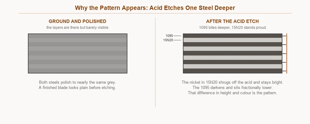Diagram comparing a polished Damascus blade before and after acid etching, showing how 1095 darkens while nickel-bearing 15N20 stays bright
