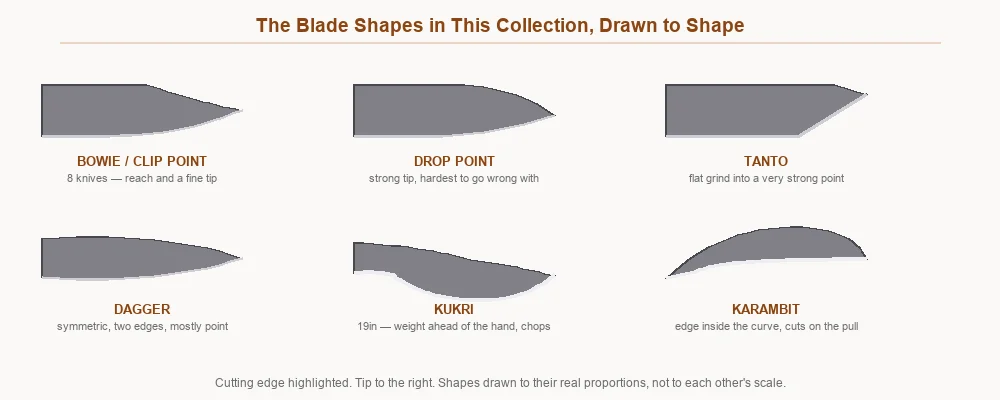 Six blade shapes drawn to shape: clip point bowie, drop point, tanto, dagger, kukri and karambit, with the cutting edge highlighted on each