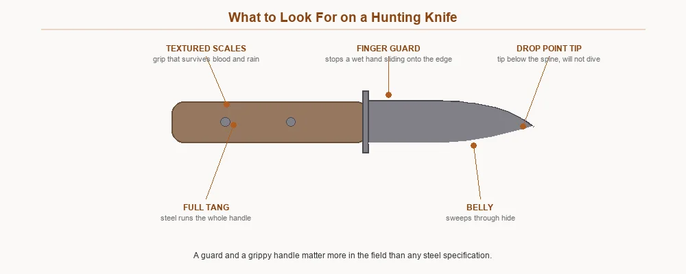 Labelled hunting knife showing finger guard, drop point tip, belly, full tang and textured scales