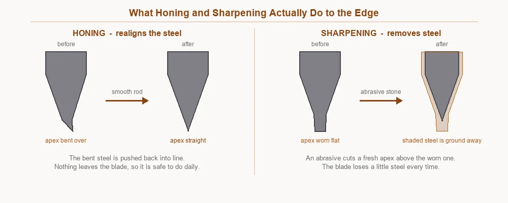 Magnified edge cross-sections showing honing realigning a bent apex and sharpening grinding a fresh apex